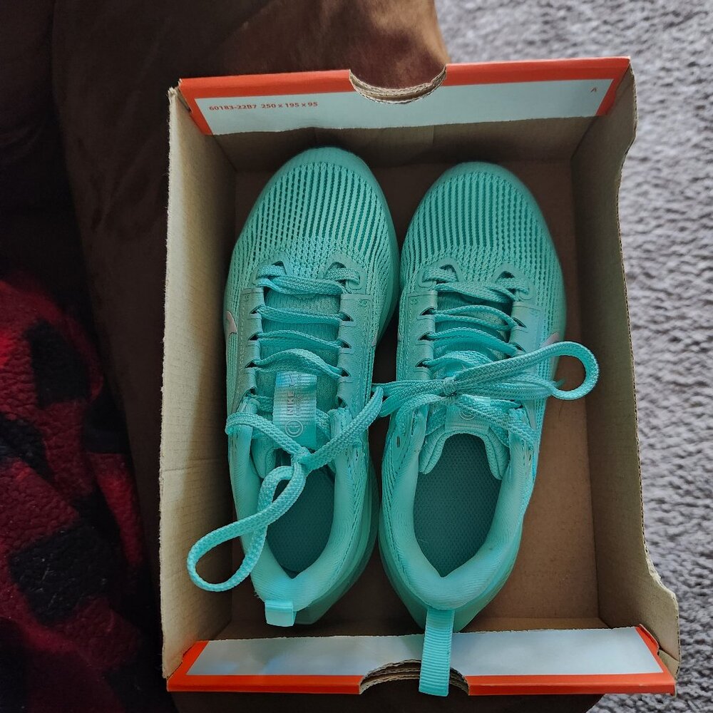 Nike air zoom pegasus 40